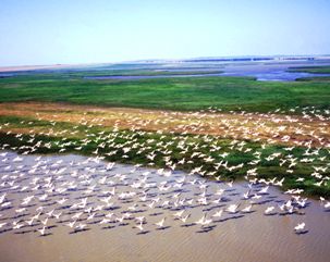 Fly over Danube Delta